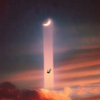 fly